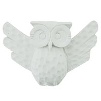 0061_APLIQUE_CORUJA_GRANDE_12X8_RESINA