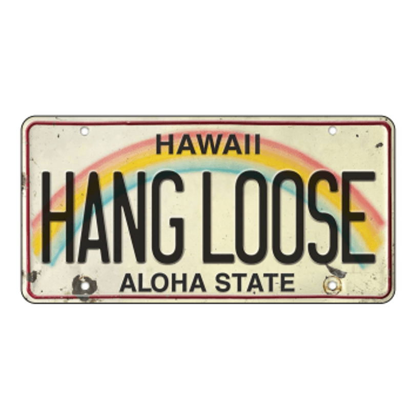 Placa-Carro-Hawaii-Hang-Loose