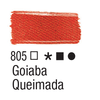 805_goiaba_queimada-3