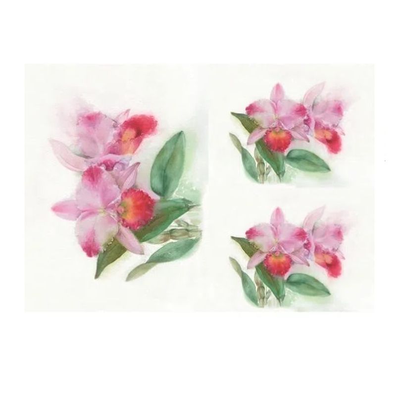 Papel Decoupage Opapel 30x45cm 2379 Flor Orquidea Opa